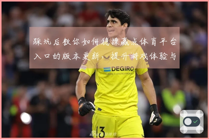 踩坑后教你如何稳操赢点体育平台入口的版本更新，提升游戏体验与收益