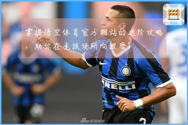 掌握悟空体育官方网站的进阶攻略，助你在竞技场所向披靡！