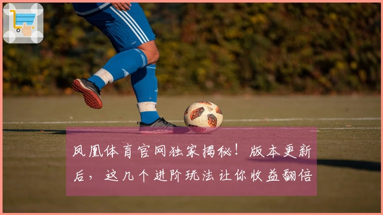 凤凰体育官网独家揭秘！版本更新后，这几个进阶玩法让你收益翻倍！
