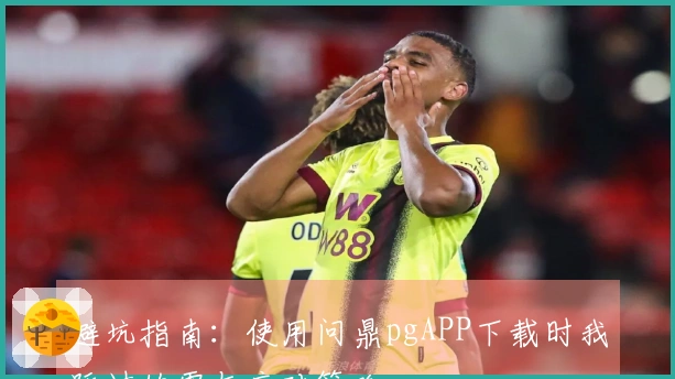 避坑指南：使用问鼎pgAPP下载时我踩过的雷与应对策略
