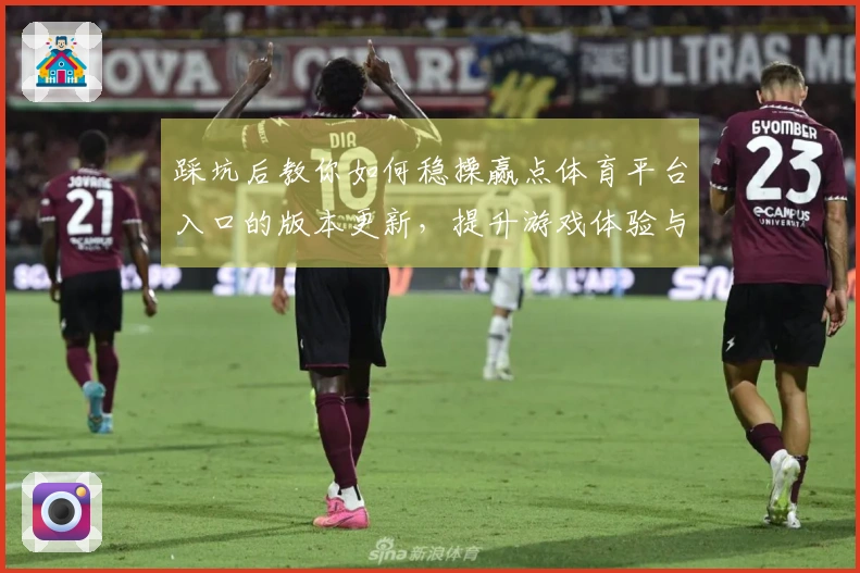 踩坑后教你如何稳操赢点体育平台入口的版本更新，提升游戏体验与收益