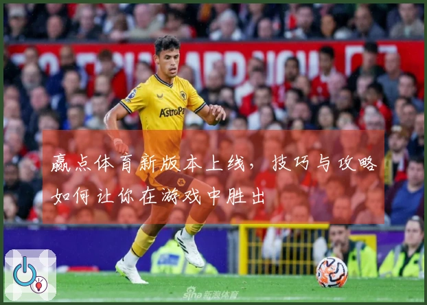 赢点体育新版本上线，技巧与攻略如何让你在游戏中胜出